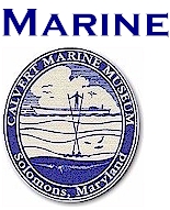 marine.jpg (37601 bytes)